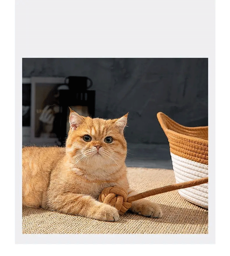 Cooling Pet Bed - Summer Dog Bed - Breathable Cat Bed