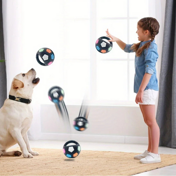 Dog Soccer Ball Toy with Handles