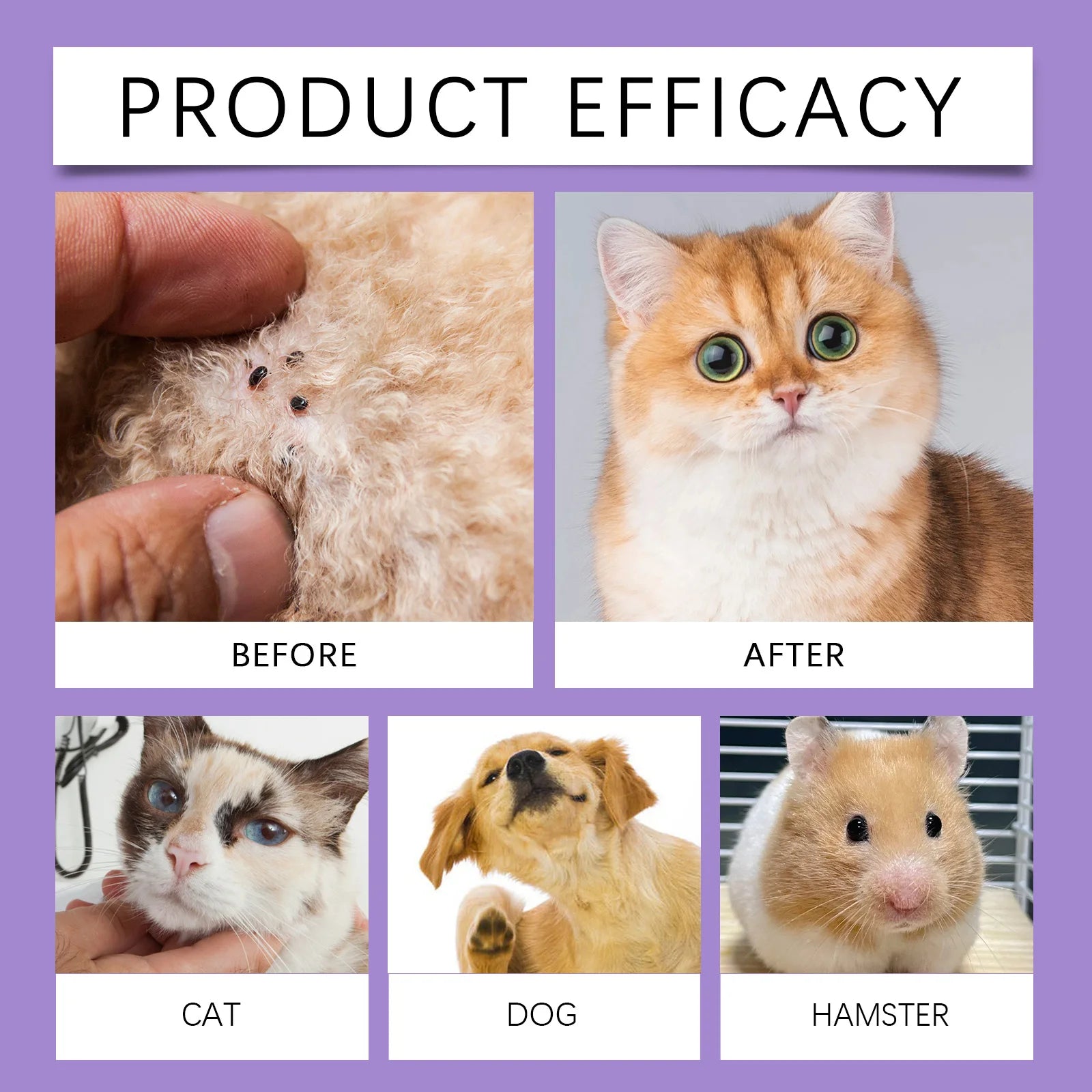 Flea and Tick Spray - Pet Flea Prevention - Dog Cat Tick Control