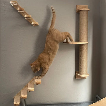 Wall-Mounted Cat Climbing Shelf with Hammock & Scratching Post