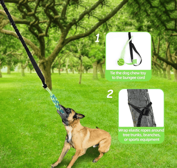 Spring Pole Dog Rope Toy