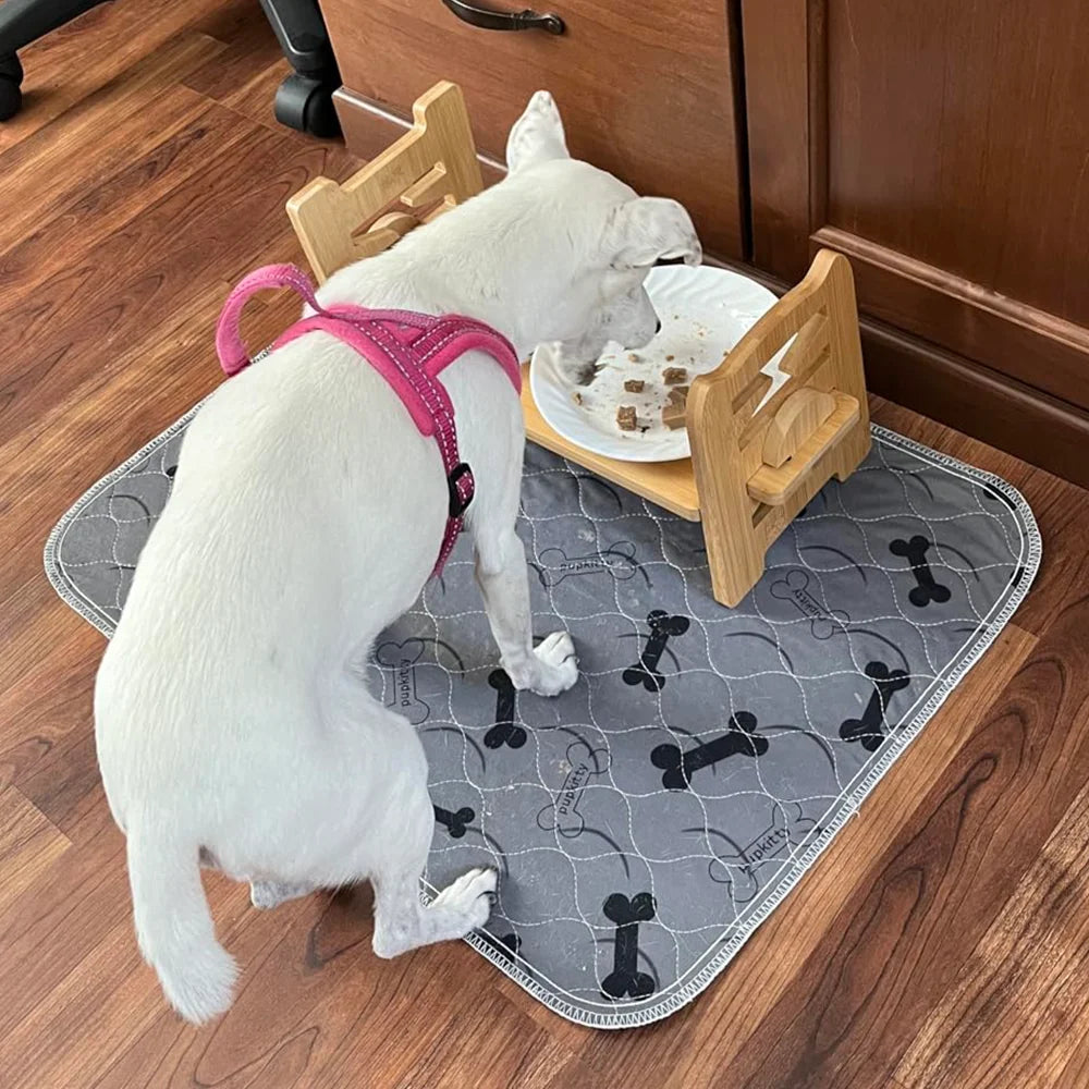 Adjustable Pet Bowl Stand - Cat Dog Feeder - Elevated Pet Bowls