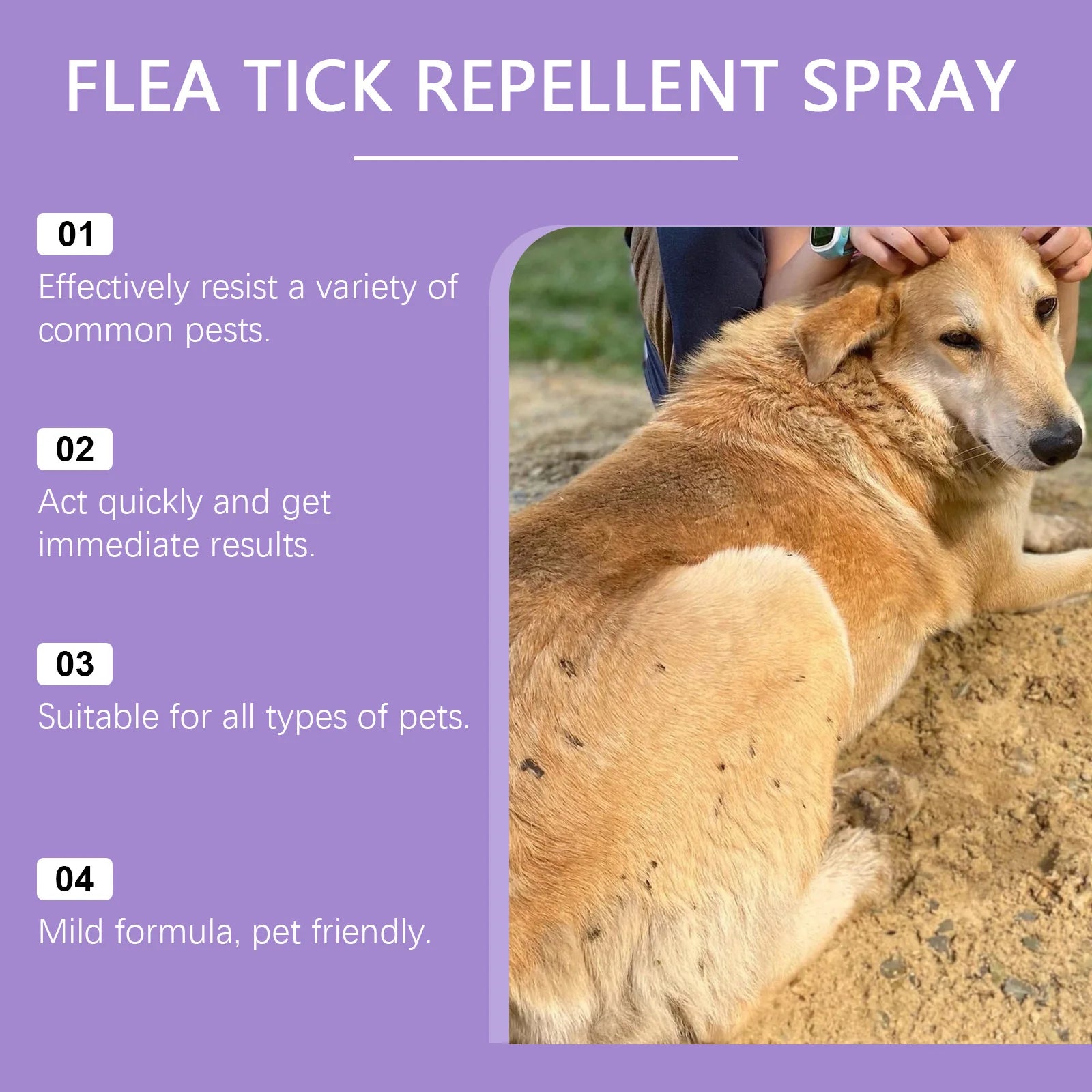 Flea and Tick Spray - Pet Flea Prevention - Dog Cat Tick Control