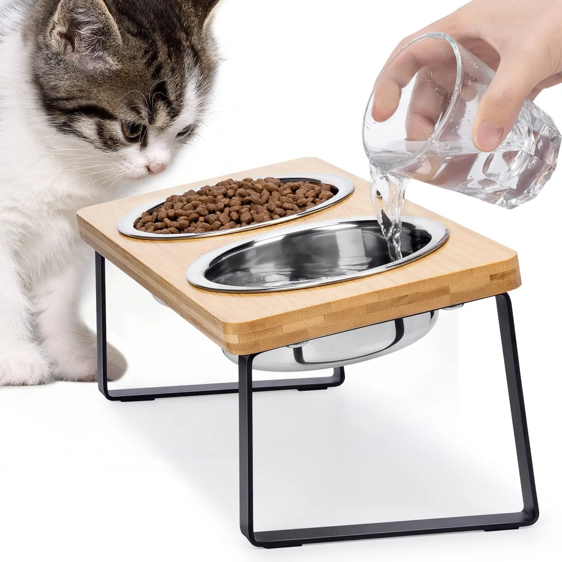 Cat Bowls with Wooden Stand