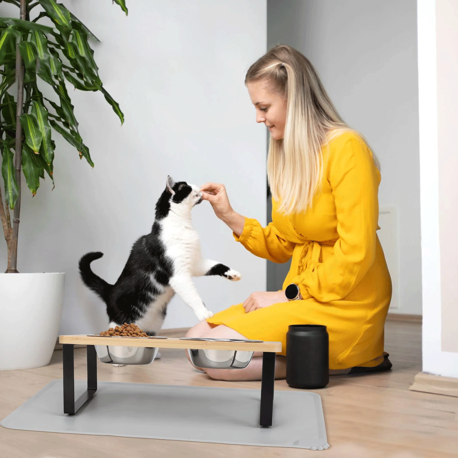 Cat Bowls with Wooden Stand