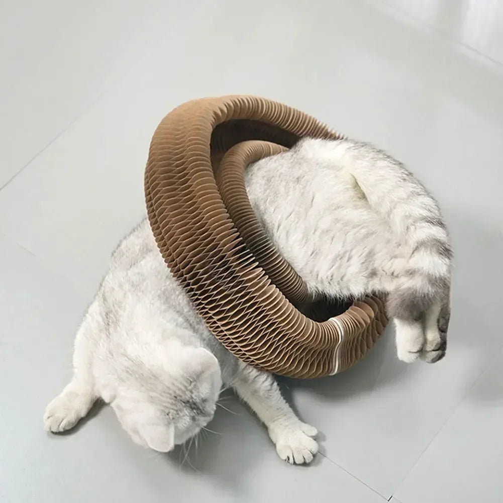 Interactive Cat Scratcher - Cat Scratching Board - Cat Play Toy