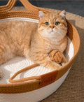 Cooling Pet Bed - Summer Dog Bed - Breathable Cat Bed